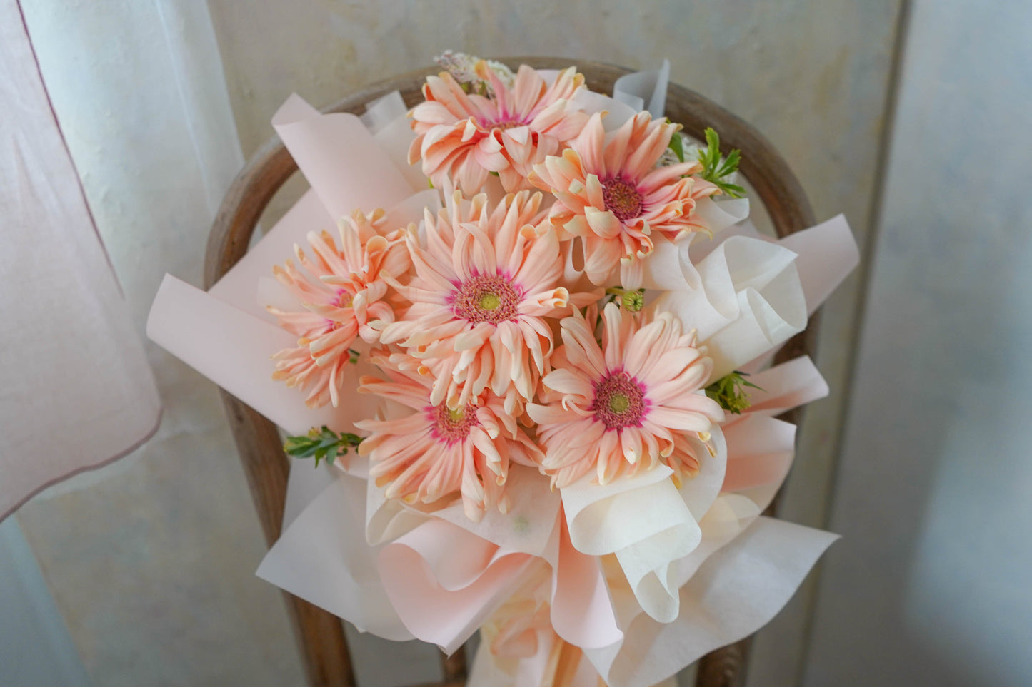 PASTEL PINK GERBERA (Premium from Holland)