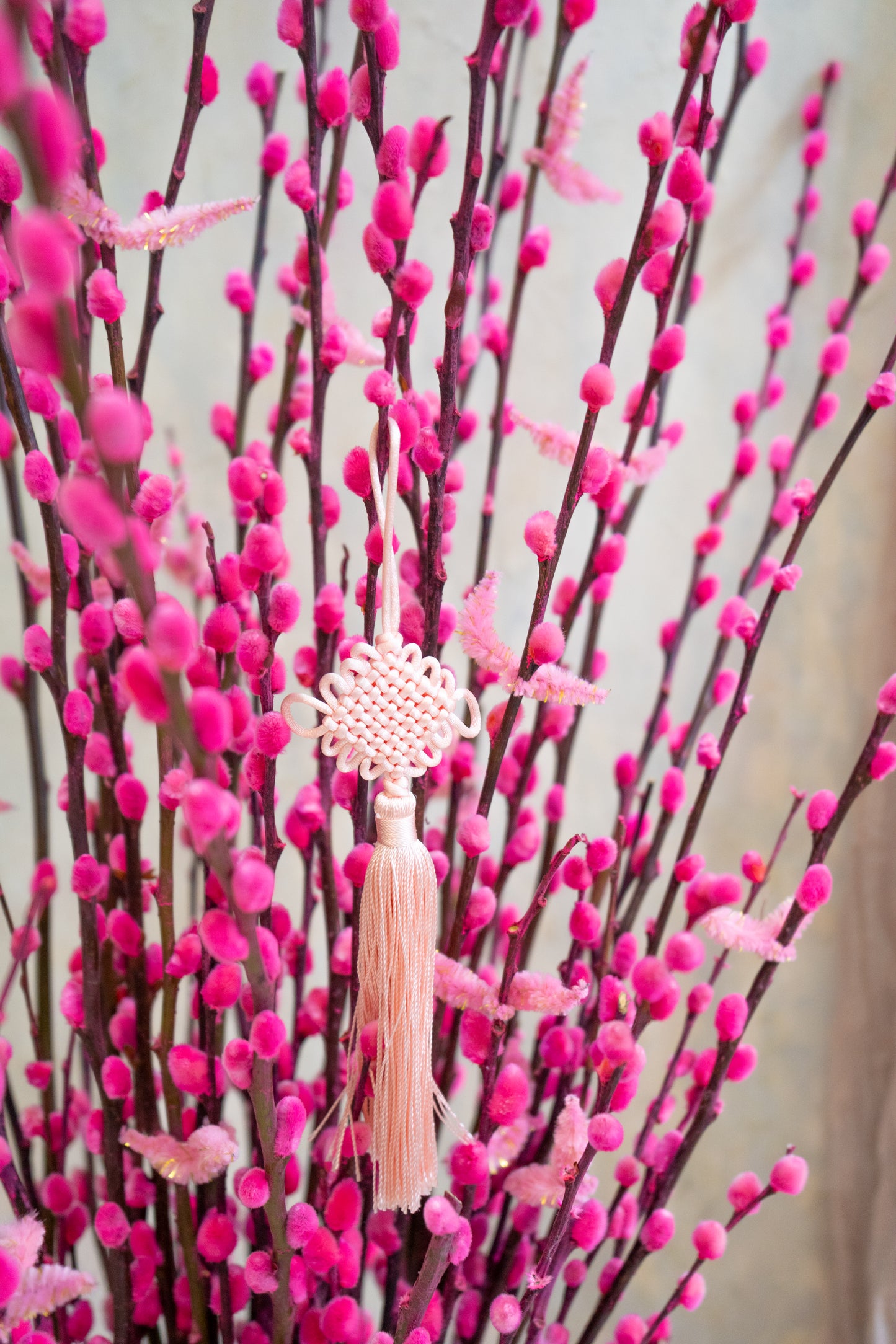 Blossom Harmony Willow (Pot and Organza)