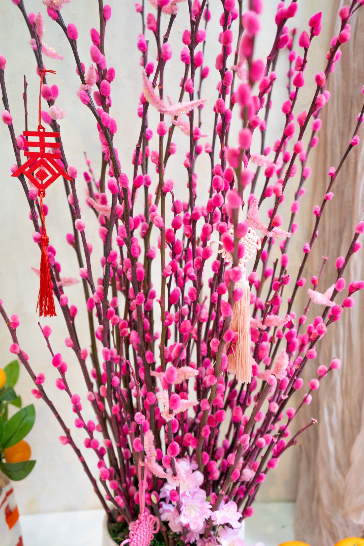 Blossom Harmony Willow (Pot and Organza)