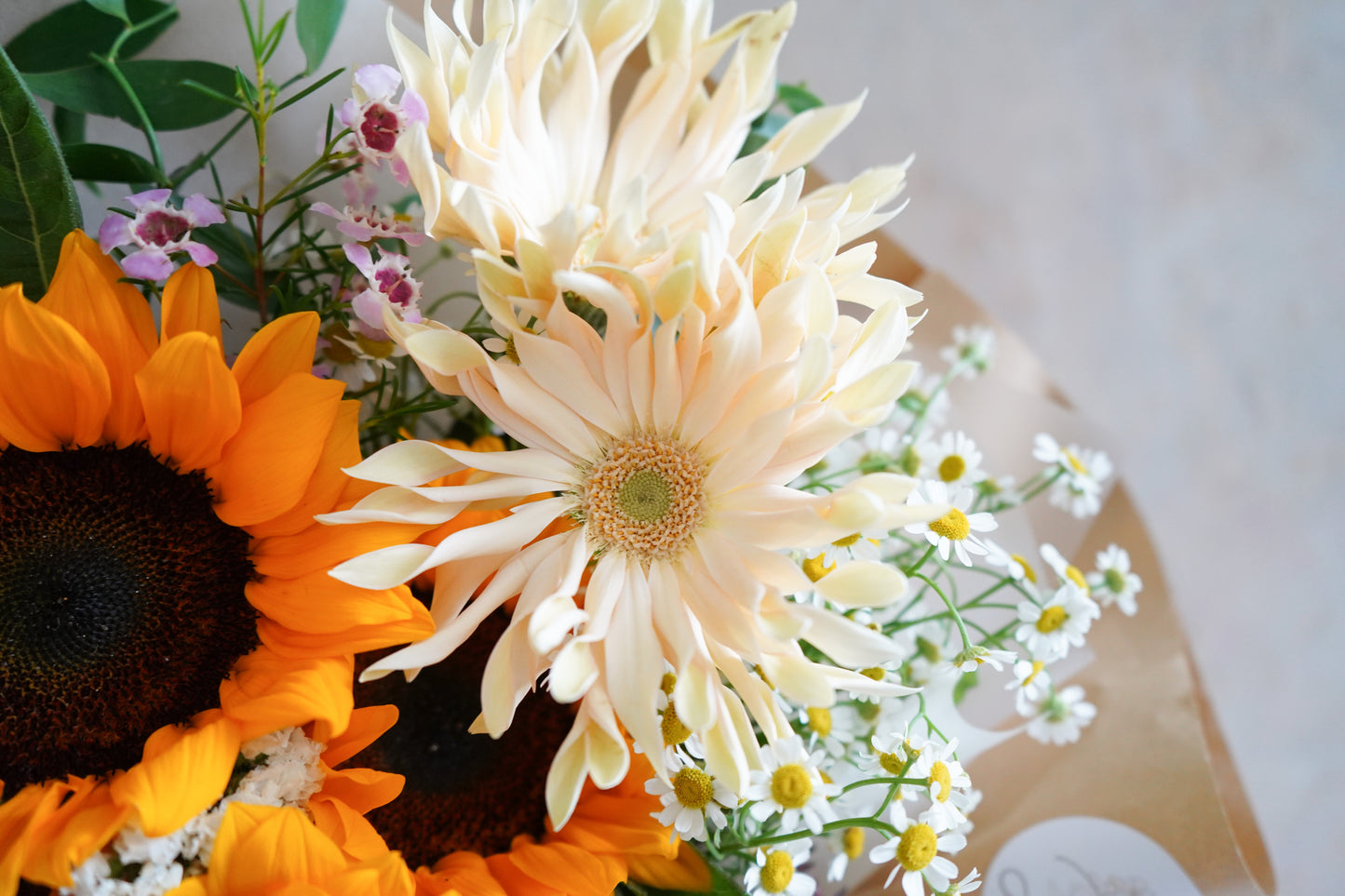 SUNFLOWER SHINE