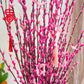 Blossom Harmony Willow (Pot and Organza)